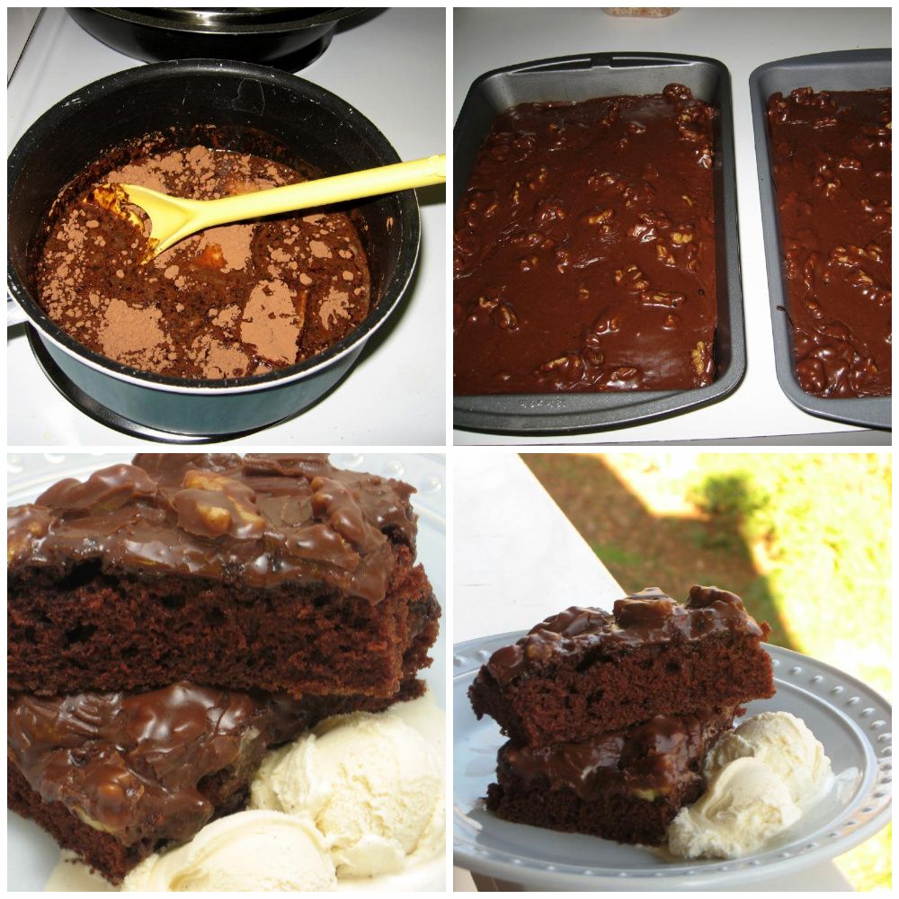 Chocolate Sheet Cake Willow Bird Baking